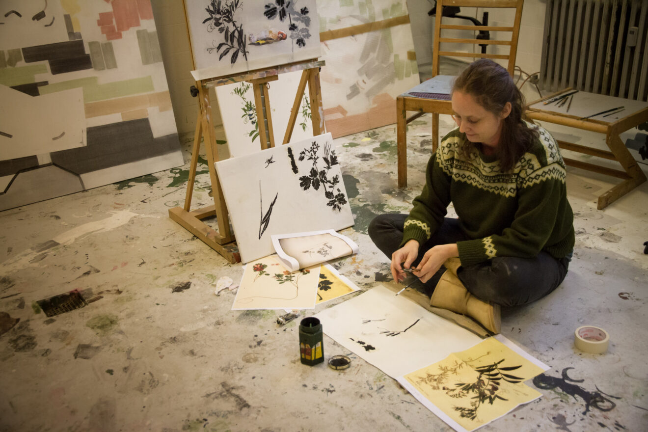 Flora Danica på Geologisk Museum