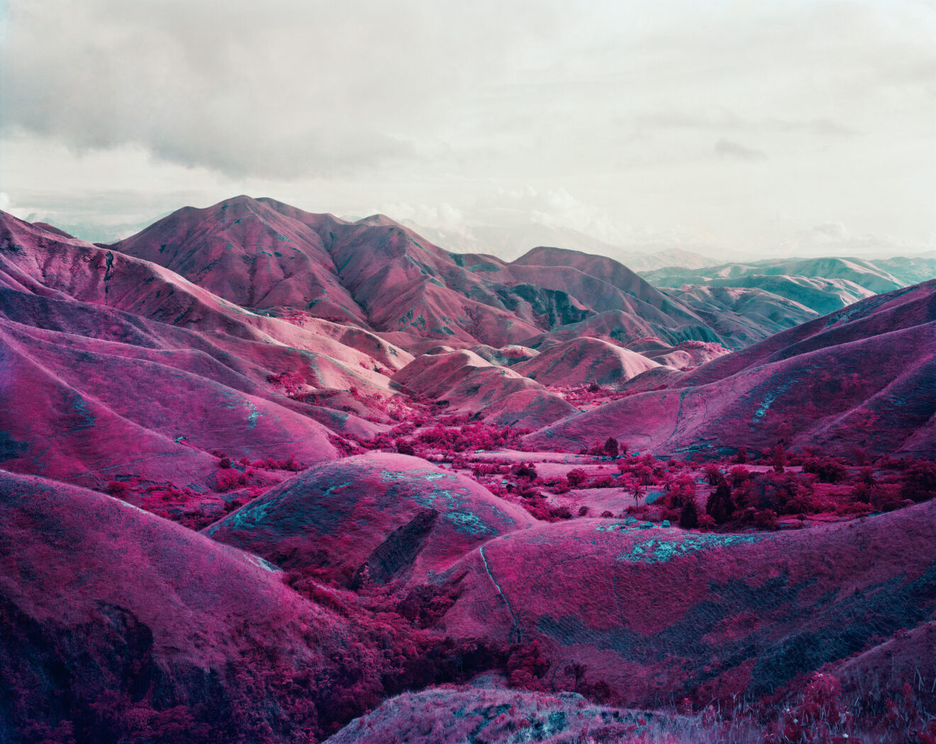 Richard Mosse, Nowhere To Run, 2010, Digital c-print, © Richard Mosse, Jack Shainman Gallery. Foto: Louisiana.