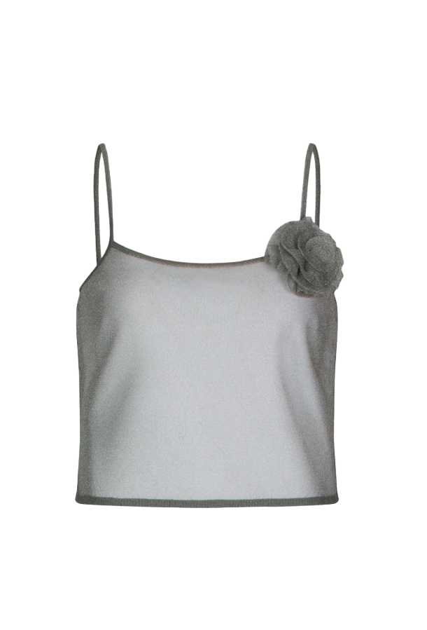 the garment top