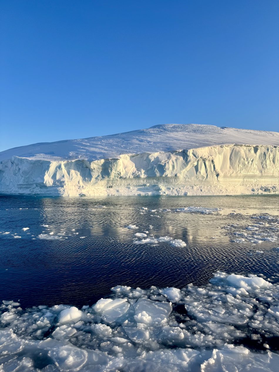 Grønland Diskobugten