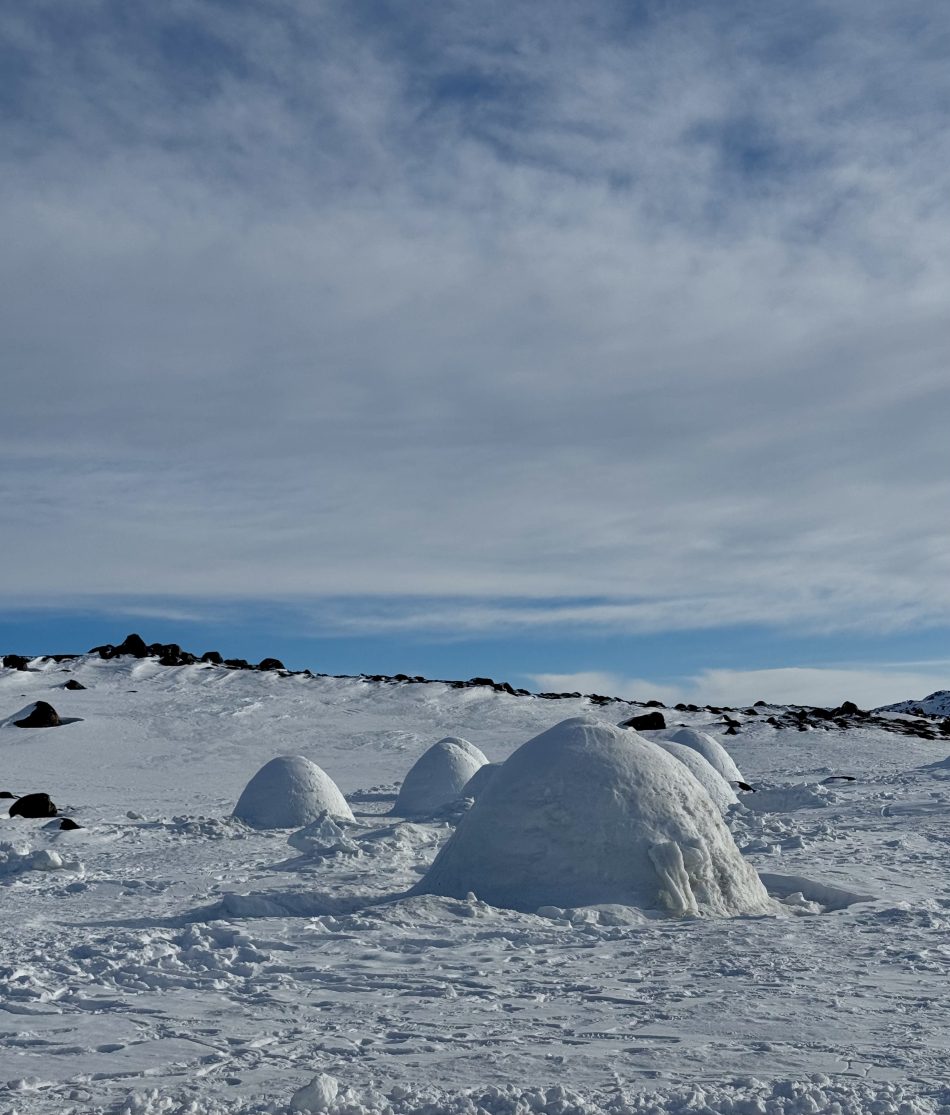 Grønland iglo