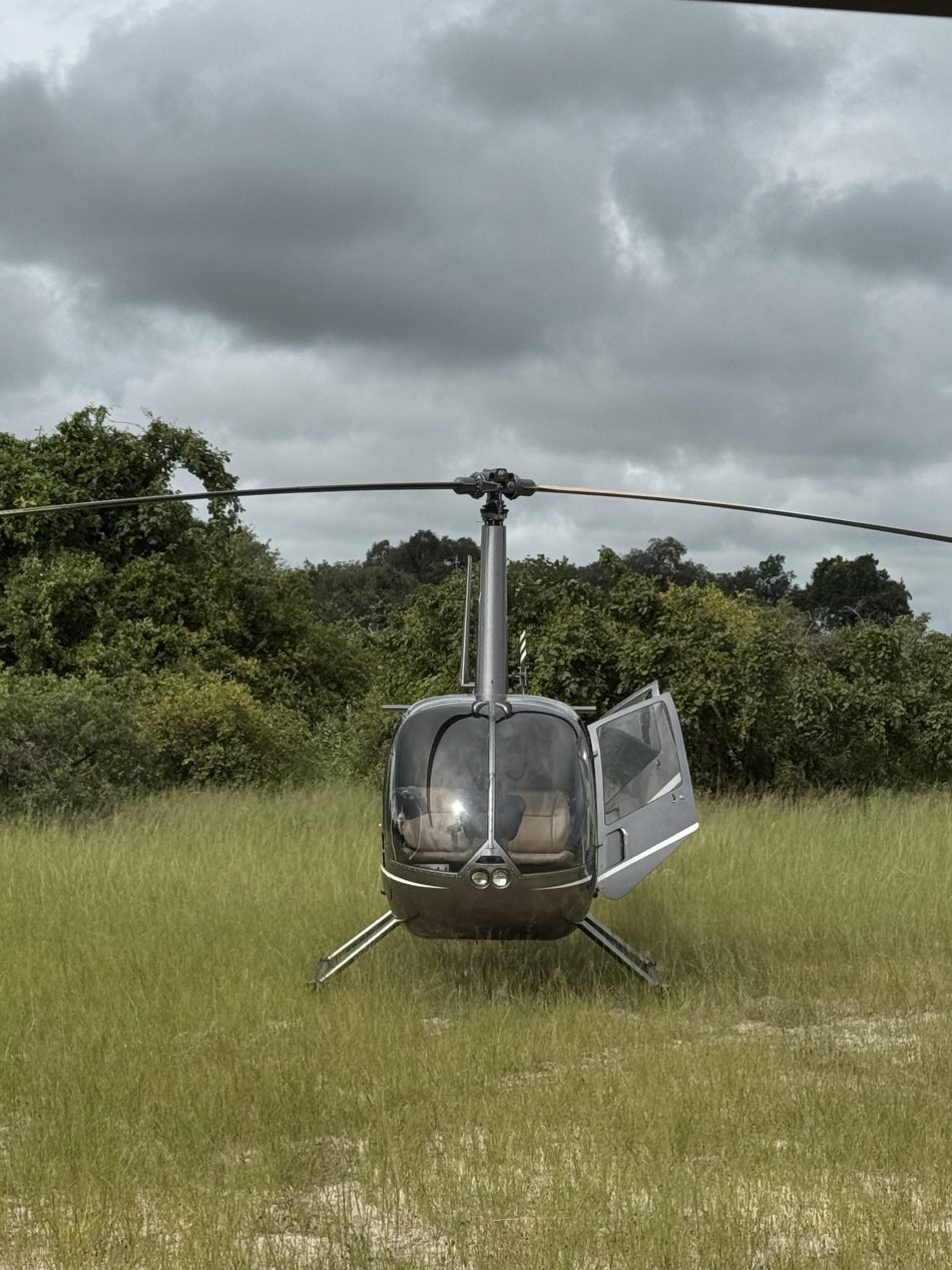 safari