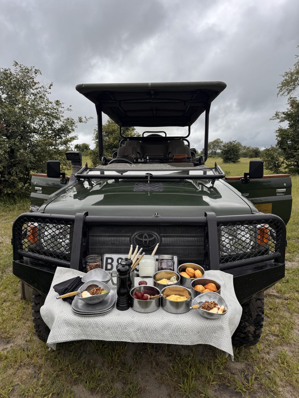 safari